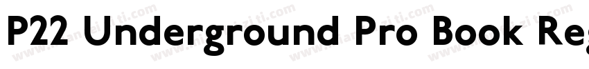 P22 Underground Pro Book Regular字体转换